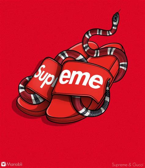 supreme x gucci wallpaper pc